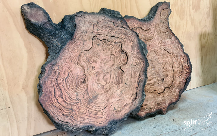 Charred Eucalyptus Burl - What a Find!